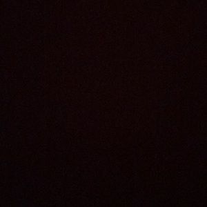 Meet your Posher, Katelyn